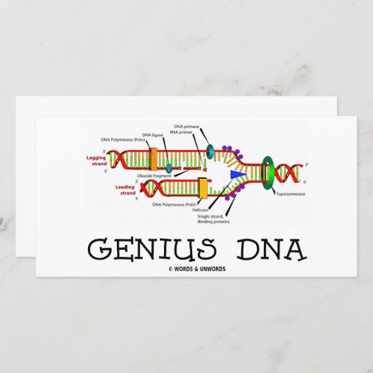 Genius DNA (DNA Replication Humor) (Front/Back)