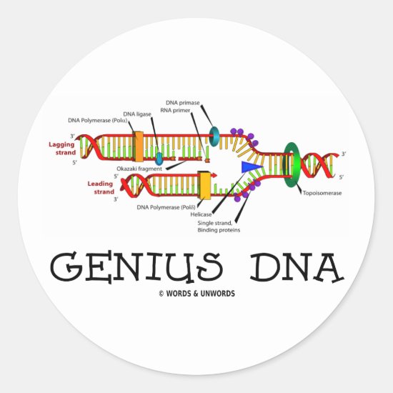 Genius DNA (DNA Replication Humor) Classic Round Sticker