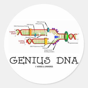Genius DNA (DNA Replication Humor) Classic Round Sticker
