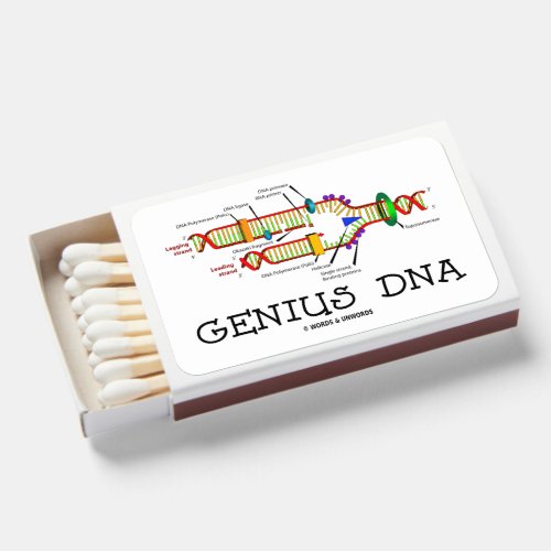 Genius DNA Molecular Biology Humor Matchboxes