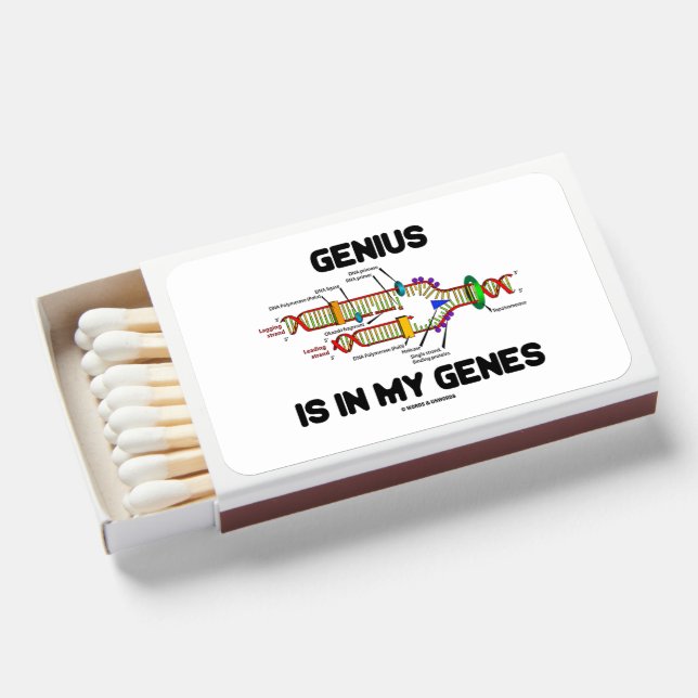 Genius Is In My Genes DNA Replication Humor Matchboxes (Front Open)