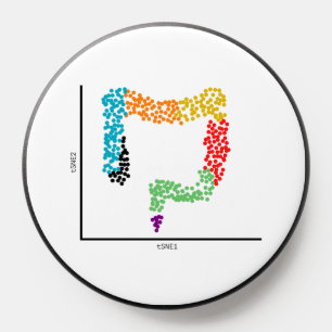 Genomics Single Cell Intestine (Colon PopSocket
