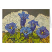 Gentian Flower (Front Horizontal)