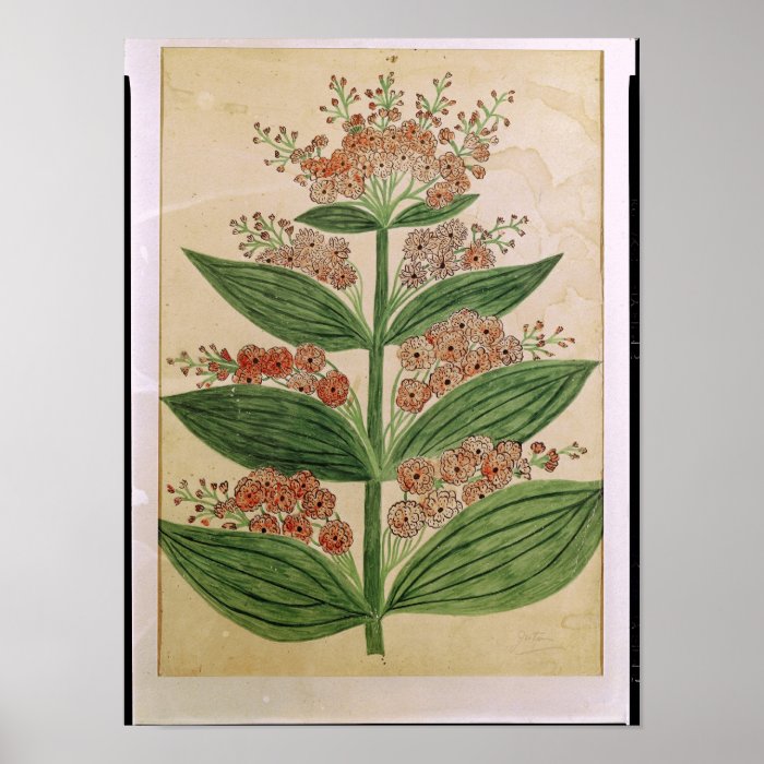 Gentian with imaginary flowers poster