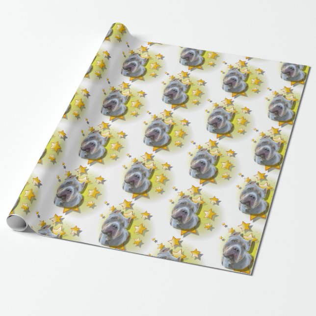 Gentil Grey American Bully is a Star Wrapping Paper (Unrolled)