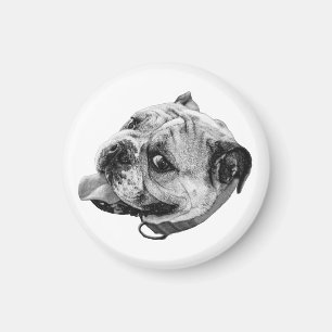 Gentle Bulldog Magnet