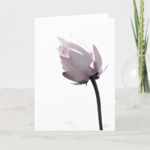 Gentle Card