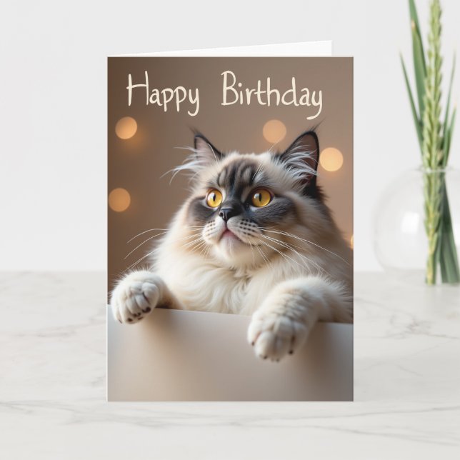 Gentle Cat Birthday Card (Front)