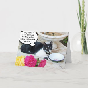 GENTLE CAT IN THE RESTAURANT Happy Birthday Card