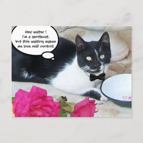 GENTLE CAT IN THE RESTAURANT Happy Birthday Postcard