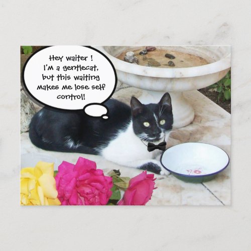 GENTLE CAT IN THE RESTAURANT Happy Birthday Postcard