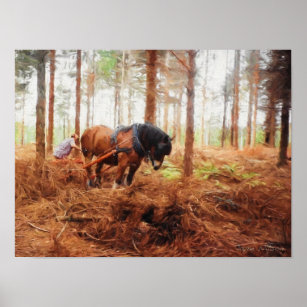 Gentle Giant - Draft Horse at Work in the Forest Poster