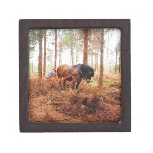 Gentle Giant _ Draft Horse Hauling Logs in Forest Keepsake Box