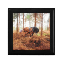 Gentle Giant - Draft Horse Hauling Logs in Forest