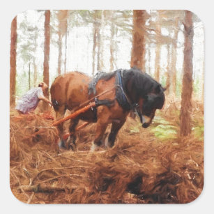 Gentle Giant - Draft Horse Hauling Logs in Forest Square Sticker