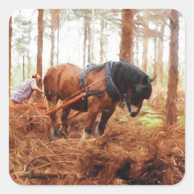 Gentle Giant - Draft Horse Hauling Logs in Forest Square Sticker (Front)