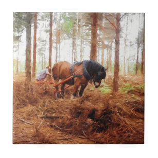 Gentle Giant - Draft Horse Hauling Logs in Forest Tile