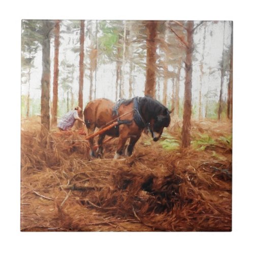 Gentle Giant _ Draft Horse Hauling Logs in Forest Tile