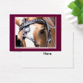 Gentle Giant Profile Card, Customizable 1 (Desk)