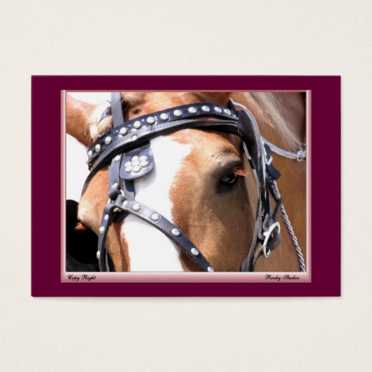 Gentle Giant Profile Card, Customizable 1 (Front)