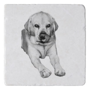 Gentle Lab lick coaster