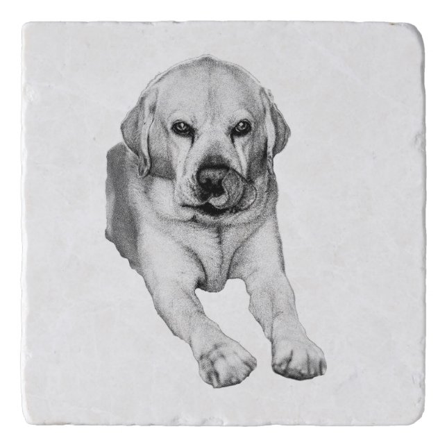 Gentle Lab lick coaster (Front)
