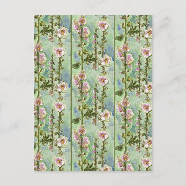 Gentle Mallow Postcard (Front)