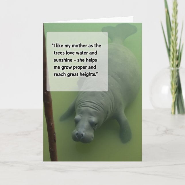 Gentle Mothers Day Mammal Card (Front)