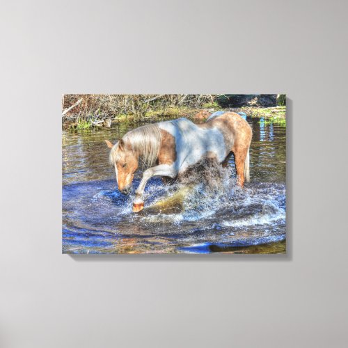 Gentle Palomino Pinto Stallion Playing in Pond Canvas Print