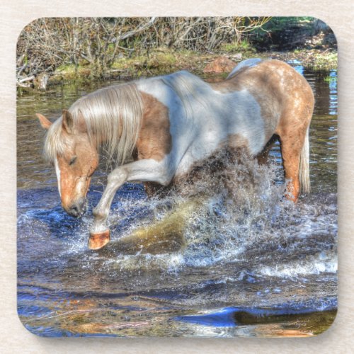 Gentle Palomino Pinto Stallion Playing in Pond Coaster
