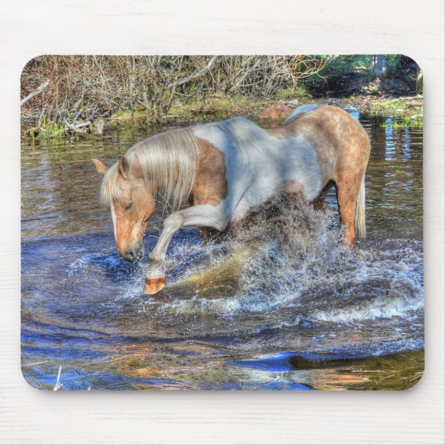 Gentle Palomino Pinto Stallion Playing in Pond Mouse Pad (Front)