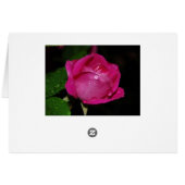 Gentle petals cards (Back Horizontal)