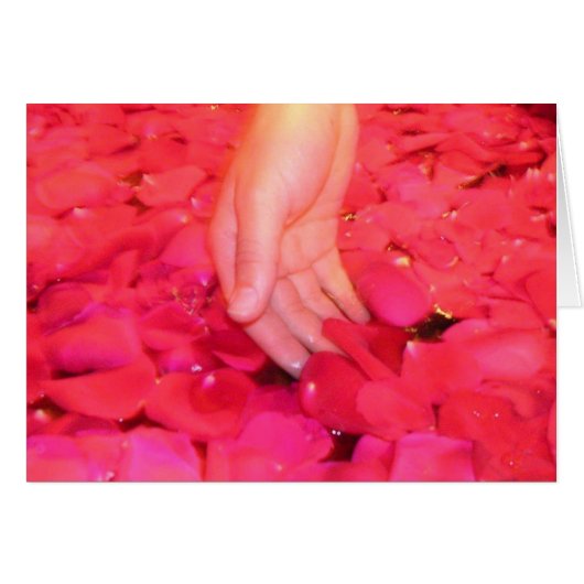 Gentle petals cards (Front Horizontal)