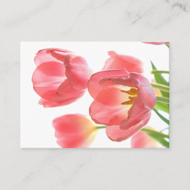 gentle pink tulip on white background calling card (Front)