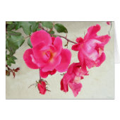 Gentle Rose (Front Horizontal)