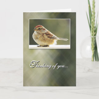 Gentle Sparrow - Thinking of You Card