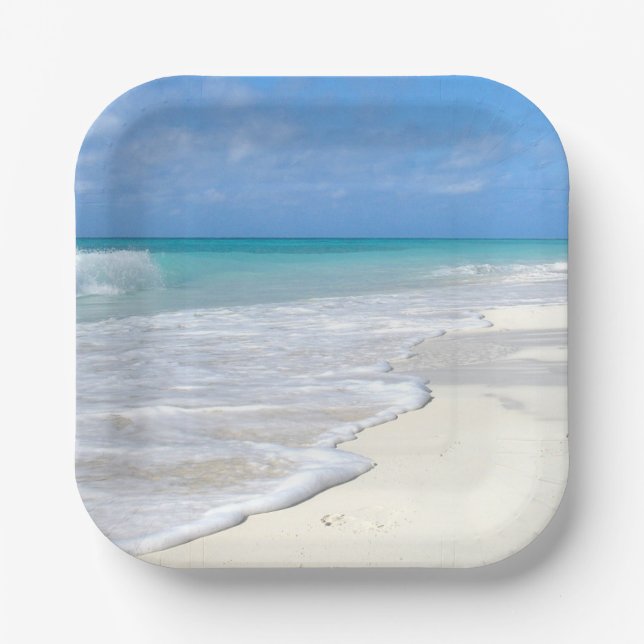 Gentle Surf White Sand Beach Paper Plates (Front)