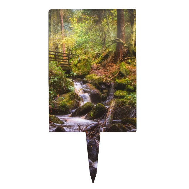 Gentle Waterfall Woodland Brook Cake Topper (Front)