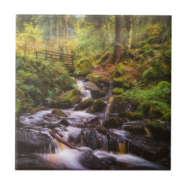 Gentle Waterfall Woodland Brook Ceramic Tile (Front)