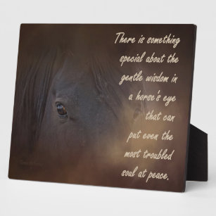Gentle Wisdom in a Horse's Eye Plaque