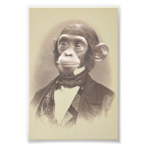 Gentleman Chimpanzee in Vintage Picture Photo Print