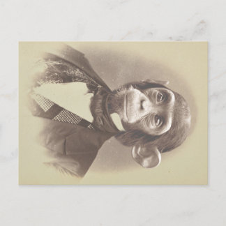 Gentleman Chimpanzee in Vintage Picture Postcard