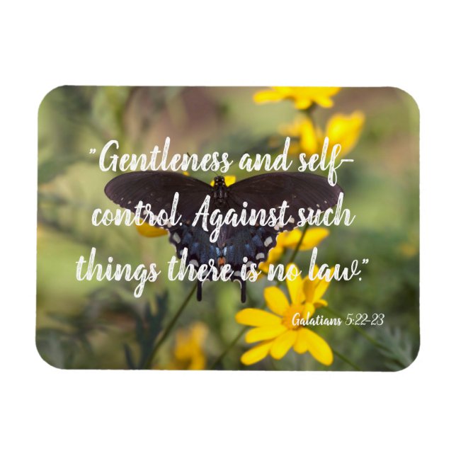 Gentleness and self-control magnet (Horizontal)