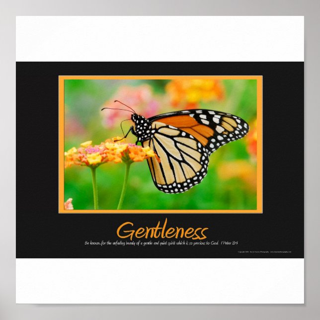 Gentleness Poster (Front)