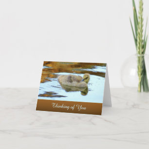 Gently Gosling  - Thinking of You - Blank Card