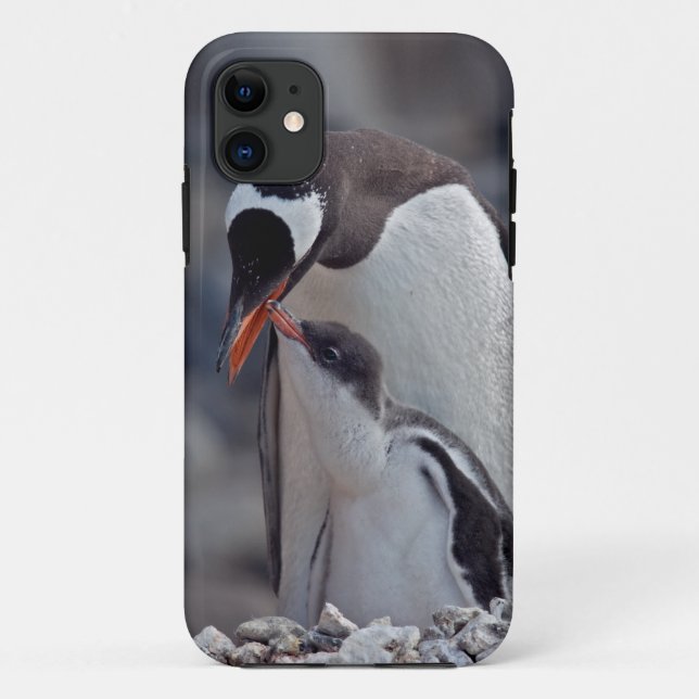 Gentoo and Chick iPhone 5 Case (Back)