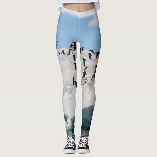 Gentoo Penguin Antarctica Iceberg Playtime Leggings (Front)