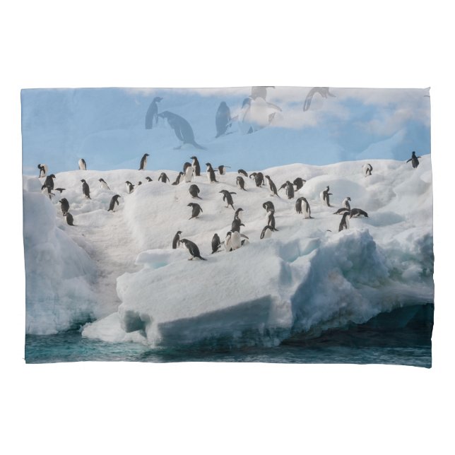 Gentoo Penguin Antarctica Iceberg Playtime Pillow Case (Front)