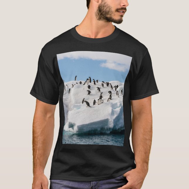 Gentoo Penguin Antarctica Iceberg Playtime T-Shirt (Front)