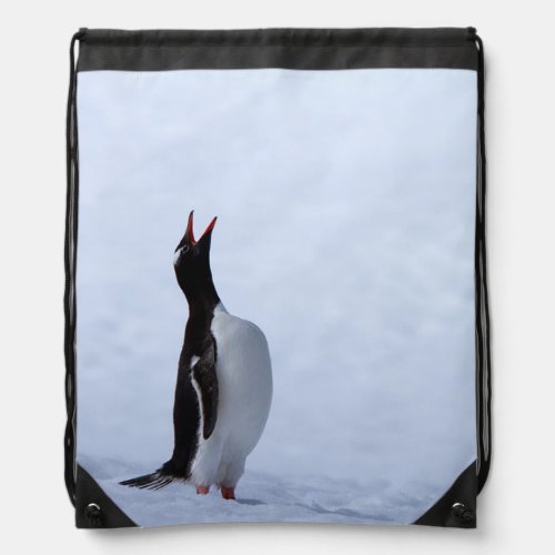 Gentoo penguin drawstring bag